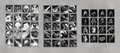 Thumbnail for version as of 01:29, 10 June 2026