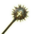 Consecrated Mace