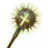 Divine Crusher